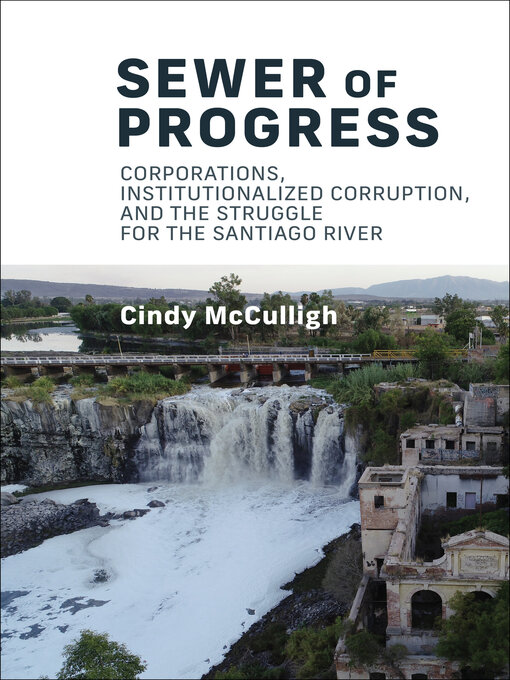 Title details for Sewer of Progress by Cindy Mcculligh - Available